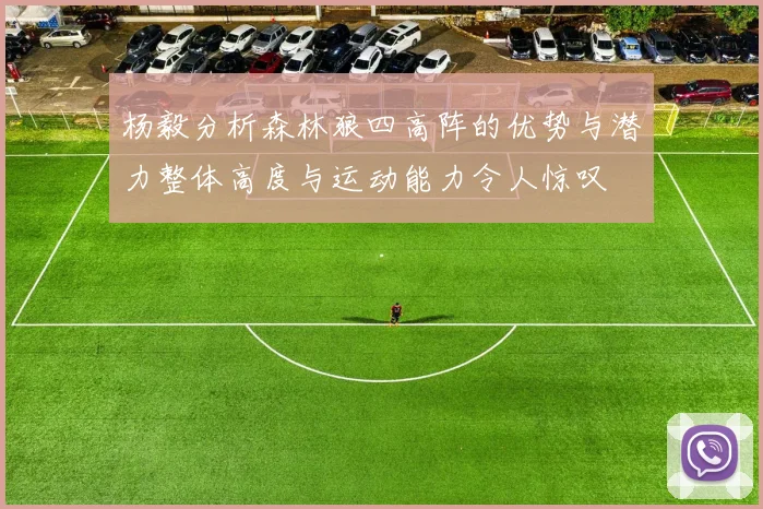 杨毅分析森林狼四高阵的优势与潜力整体高度与运动能力令人惊叹